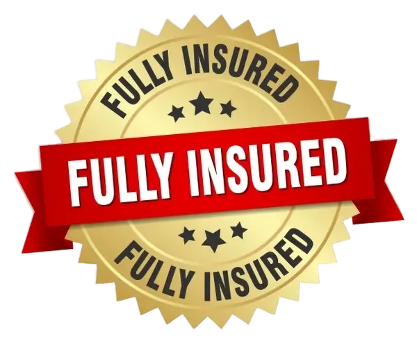 08c70b4a-141a-4795-91c0-e9d4b1c4125d_removalai_preview